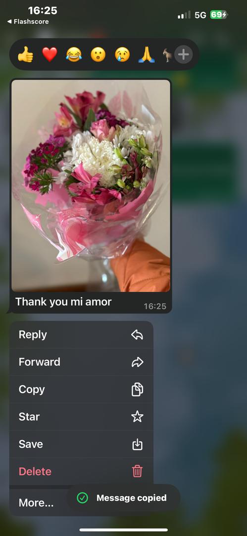 BEAUTIFUL FLOWER (USA/CANADA) - Image 2